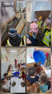 WhatsApp Image 2025-11-07 at 14.27.33 (1)