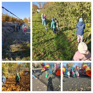 WhatsApp Image 2025-11-07 at 15.05.13