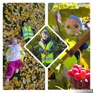 WhatsApp Image 2025-11-12 at 13.32.17