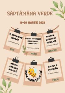 WhatsApp Image 2026-03-06 at 13.21.08 (2)