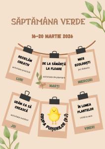 WhatsApp Image 2026-03-06 at 13.21.11 (1)