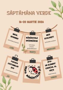 WhatsApp Image 2026-03-06 at 13.21.11