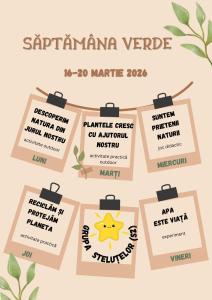 WhatsApp Image 2026-03-06 at 13.41.22