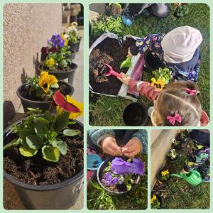 WhatsApp Image 2026-03-26 at 07.48.51 (3)